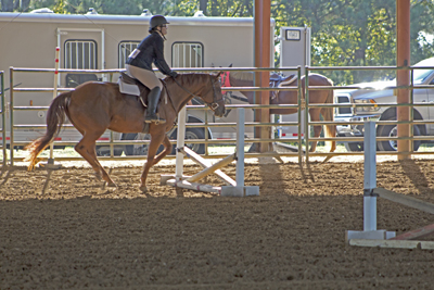 Picture from Catoosa County Saddle Club show