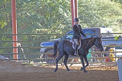 Picture from Catoosa County Saddle Club show