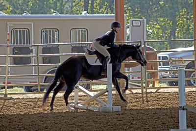 Picture from Catoosa County Saddle Club show