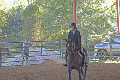 Picture from Catoosa County Saddle Club show