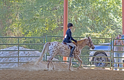 Picture from Catoosa County Saddle Club show