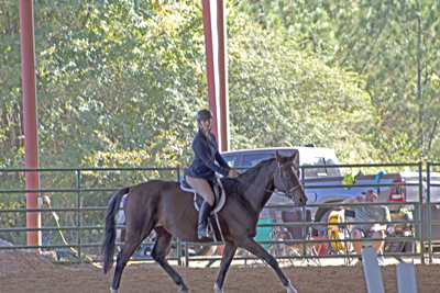 Picture from Catoosa County Saddle Club show