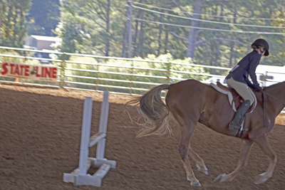 Picture from Catoosa County Saddle Club show