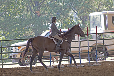 Picture from Catoosa County Saddle Club show