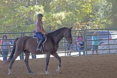 Picture from Catoosa County Saddle Club show