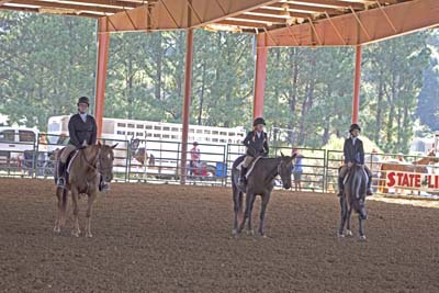 Picture from Catoosa County Saddle Club show