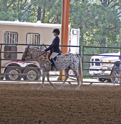 Picture from Catoosa County Saddle Club show