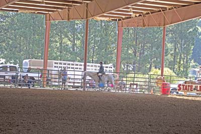 Picture from Catoosa County Saddle Club show