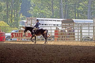 Picture from Catoosa County Saddle Club show