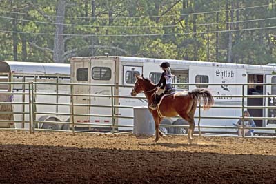 Picture from Catoosa County Saddle Club show