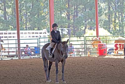 Picture from Catoosa County Saddle Club show