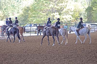 Picture from Catoosa County Saddle Club show
