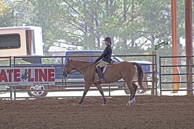 Picture from Catoosa County Saddle Club show