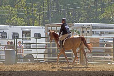 Picture from Catoosa County Saddle Club show