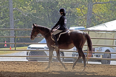 Picture from Catoosa County Saddle Club show