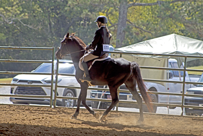 Picture from Catoosa County Saddle Club show