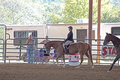 Picture from Catoosa County Saddle Club show
