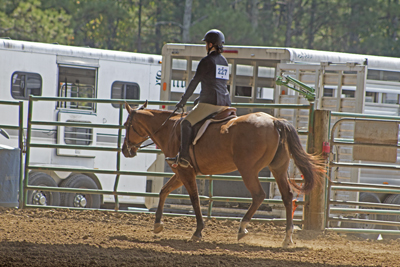 Picture from Catoosa County Saddle Club show