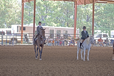 Picture from Catoosa County Saddle Club show
