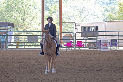 Picture from Catoosa County Saddle Club show