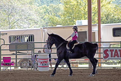 Picture from Catoosa County Saddle Club show