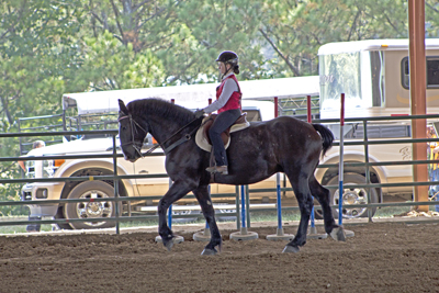 Picture from Catoosa County Saddle Club show