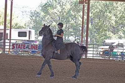 Picture from Catoosa County Saddle Club show