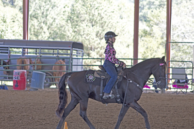 Picture from Catoosa County Saddle Club show