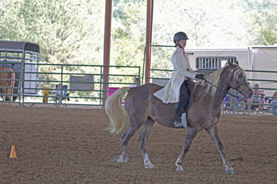 Picture from Catoosa County Saddle Club show