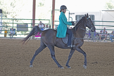 Picture from Catoosa County Saddle Club show