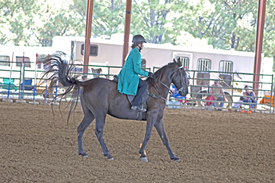 Picture from Catoosa County Saddle Club show