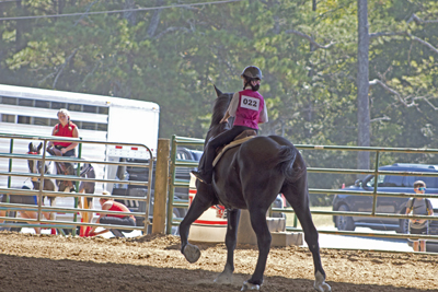 Picture from Catoosa County Saddle Club show