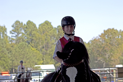 Picture from Catoosa County Saddle Club show