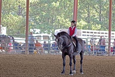 Picture from Catoosa County Saddle Club show