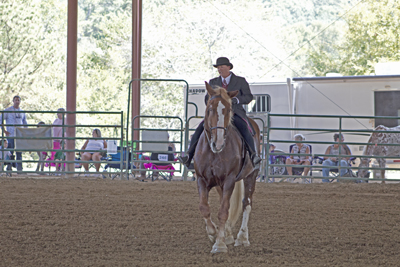 Picture from Catoosa County Saddle Club show