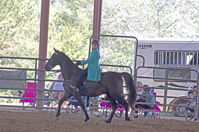 Picture from Catoosa County Saddle Club show