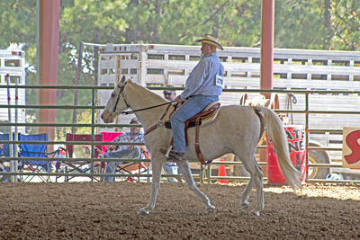 Picture from Catoosa County Saddle Club show