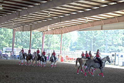 Picture from Catoosa County Saddle Club show