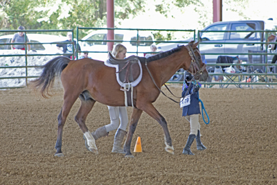 Picture from Catoosa County Saddle Club show