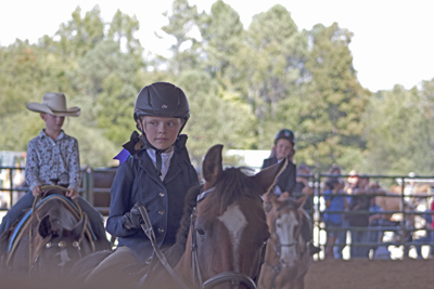 Picture from Catoosa County Saddle Club show