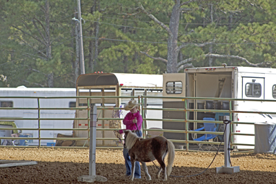 Picture from Catoosa County Saddle Club show