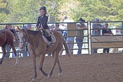 Picture from Catoosa County Saddle Club show