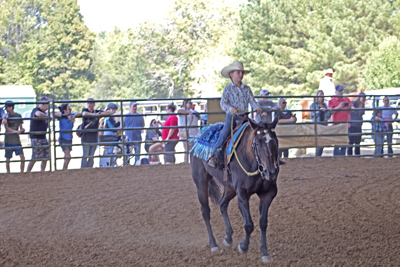 Picture from Catoosa County Saddle Club show