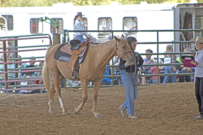Picture from Catoosa County Saddle Club show