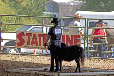 Picture from Catoosa County Saddle Club show