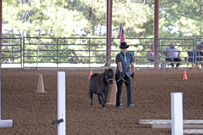 Picture from Catoosa County Saddle Club show