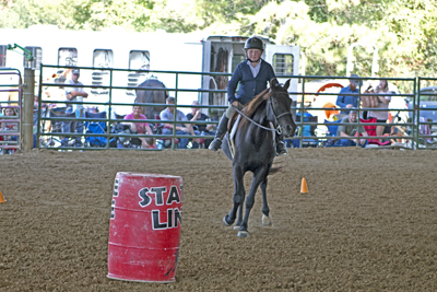 Picture from Catoosa County Saddle Club show
