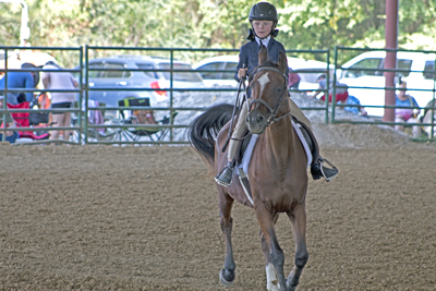 Picture from Catoosa County Saddle Club show