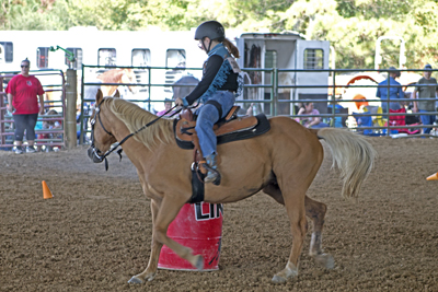 Picture from Catoosa County Saddle Club show