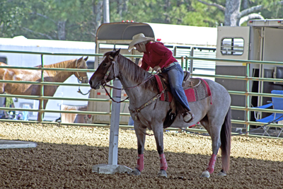 Picture from Catoosa County Saddle Club show